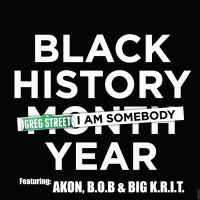 I Am Somebody (feat. Akon, B.o.B & Big K.R.I.T.)