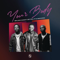 Your Body (Single)