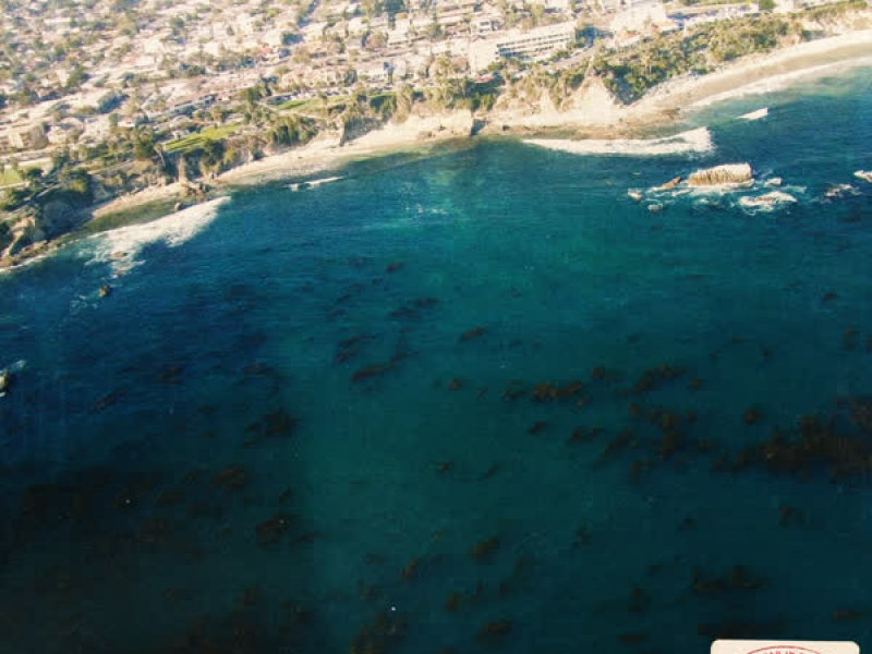 California (feat. Jackson Wang & Warren Hue) [Remix] (Single)