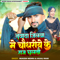 Nawada Jilwa Me Chaudhariye Ke Raj Chaltau (Single)