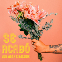 Se Acabó (Single)