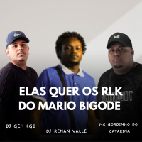 ELAS QUER OS RLK DO MARIO BIGODE (Single)