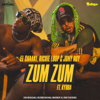 ZUM ZUM (Single)