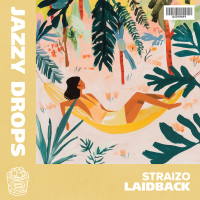 Laidback (Single)