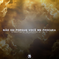 NÃO SEI PORQUÊ VOCÊ ME PROCURA (Single)
