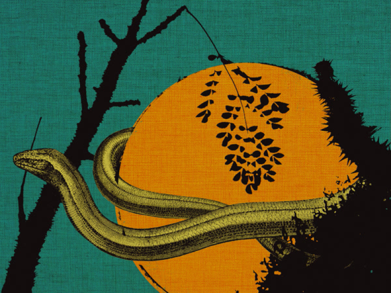 Ganging up on the Sun