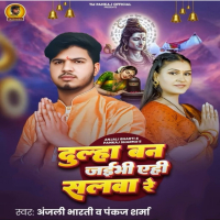 Dulha Ban Jaibhi Aehi Salwa Re (Single)