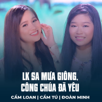 LK Sa Mưa Giông, Công Chúa Đã Yêu (Single)