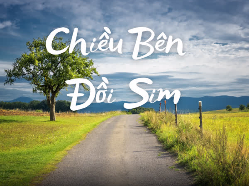 Chiều Bên Đồi Sim