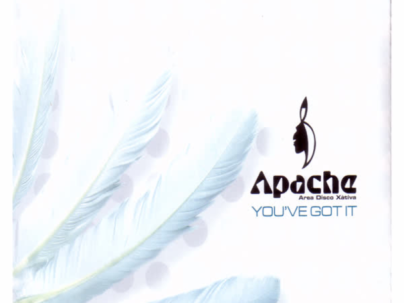 You've Got It (Single)