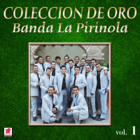 Coleccíon de Oro, Vol. 1