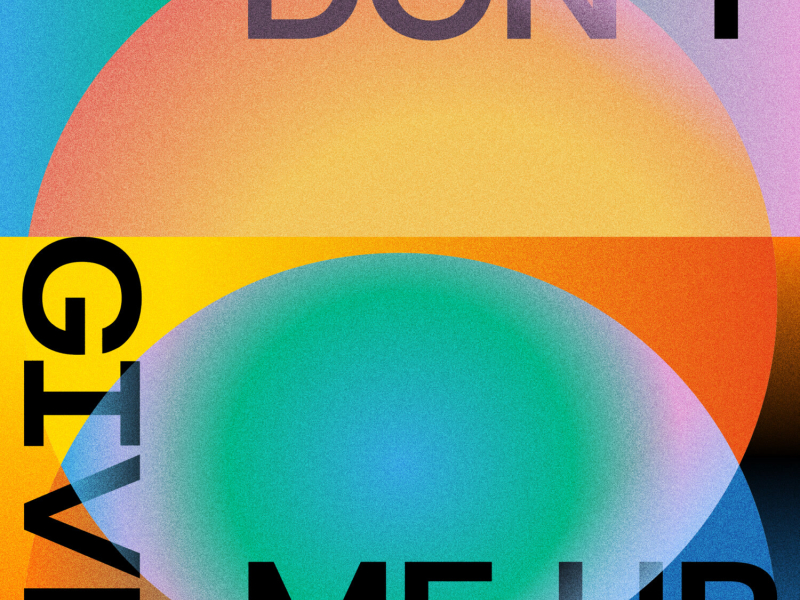 Don't Give Me Up (Single)