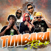 Timbara (Remix) (Single)