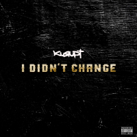 I Didn't Change (J. Wells Mix) (Single)