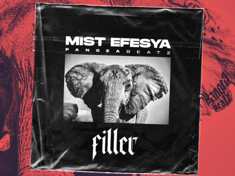 Filler (Single)