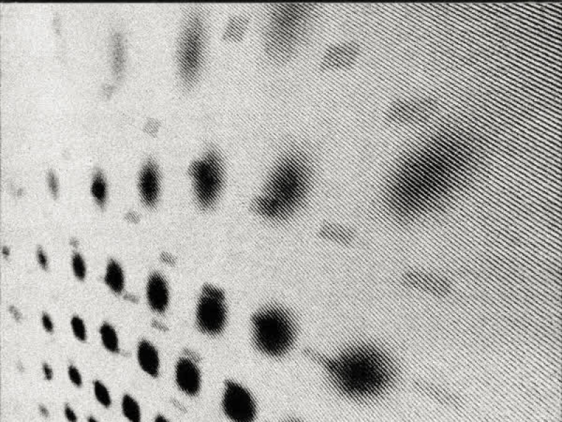 leave in five (Single)