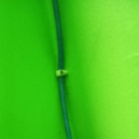 Lagu asmara (Single)