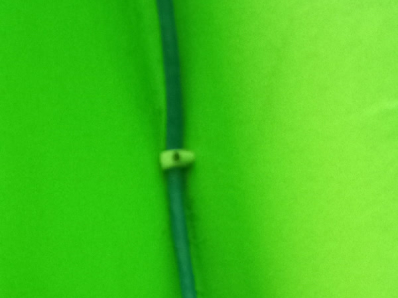 Lagu asmara (Single)