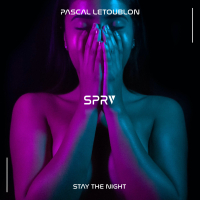 Stay The Night (Single)