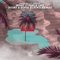 What It Feels Like (Vijay & Sofia Zlatko Remix) (Single)