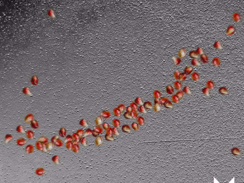 To Space - ع الفضا