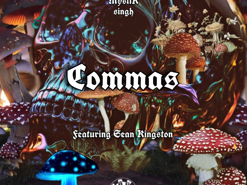 Commas (feat. Sean Kingston) (Single)