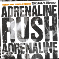 Adrenaline Rush (Run In The Jungle Remix) (Single)