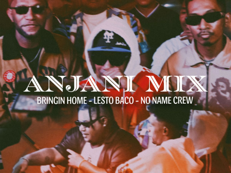 ANJANI MIX (Single)