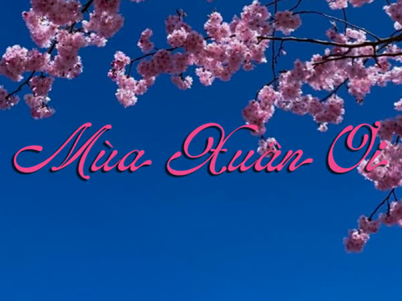 Mùa Xuân Ơi (Lofi) (Single)