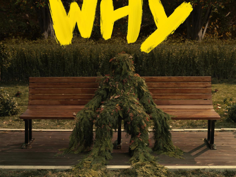 Why Why Why (Single)