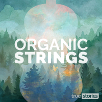 Organic Strings