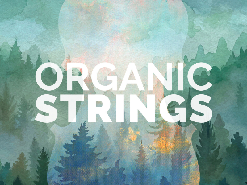 Organic Strings