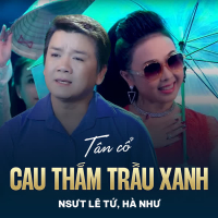 Tân Cổ Cau Thắm Trầu Xanh (Single)