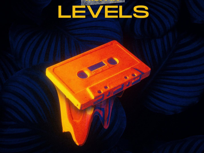 LEVELS (Single)