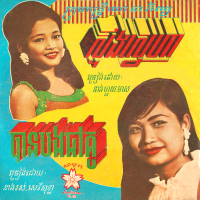ស្ទឹងស្នេហា - បានបងជាគូ (2024 Remaster) (Single)
