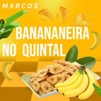 BANANEIRA NO QUINTAL (Single)