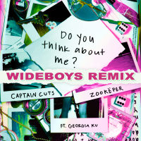 Do You Think About Me (Wideboys Remix) (Single)