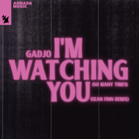 I'm Watching You (So Many Times) (Sean Finn Remix) (Single)