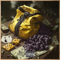 Cash Bag (Single)