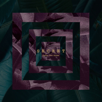 Secret (Feat. Hyangs) (Single)