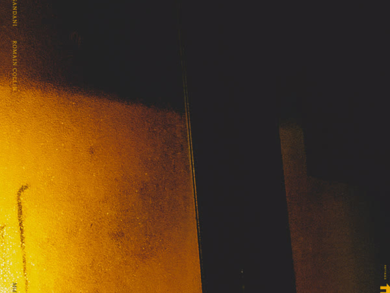 The Rise and Fall of Pipokuhn (Single)