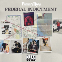 FEDERAL INDICTMENT (Single)