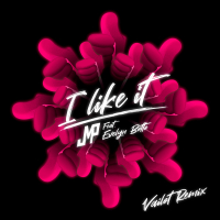 I Like It (Vailot Remix) (Single)