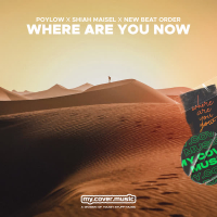Where Are You Now (Single)