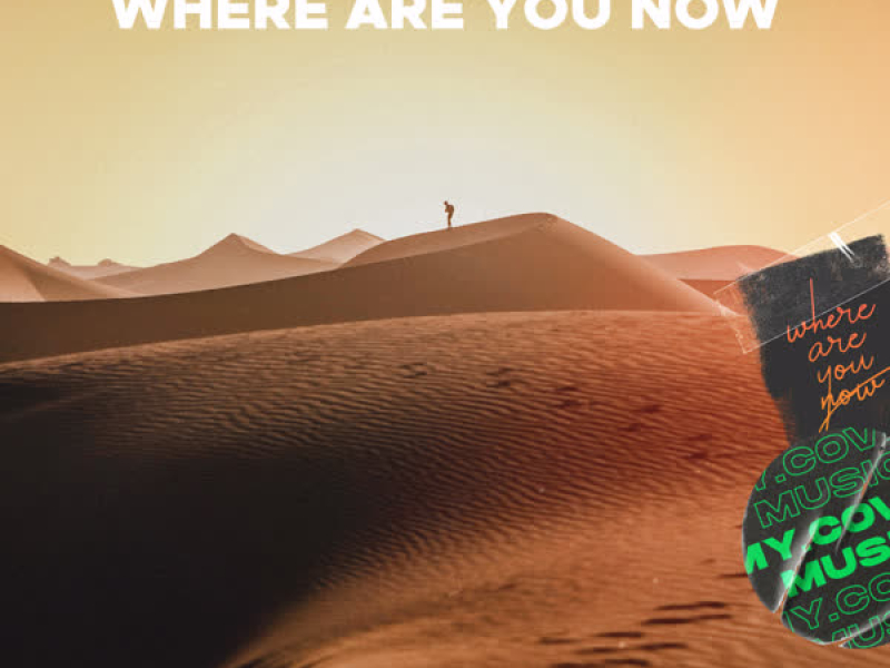 Where Are You Now (Single)