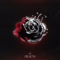 UNA ROSA (Single)