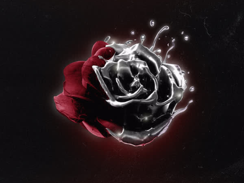 UNA ROSA (Single)