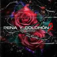 Pena y Colchón 2 (Single)
