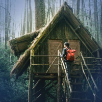 Rain Sounds on Shed Roof for Study and Increased Focus with White Noise (Single)