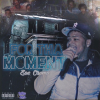 For Tha Moment (Put You On) (Single)